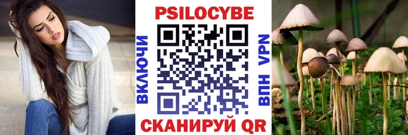 купить   Кыштым  Галлюциногенные грибы Magic Shrooms 